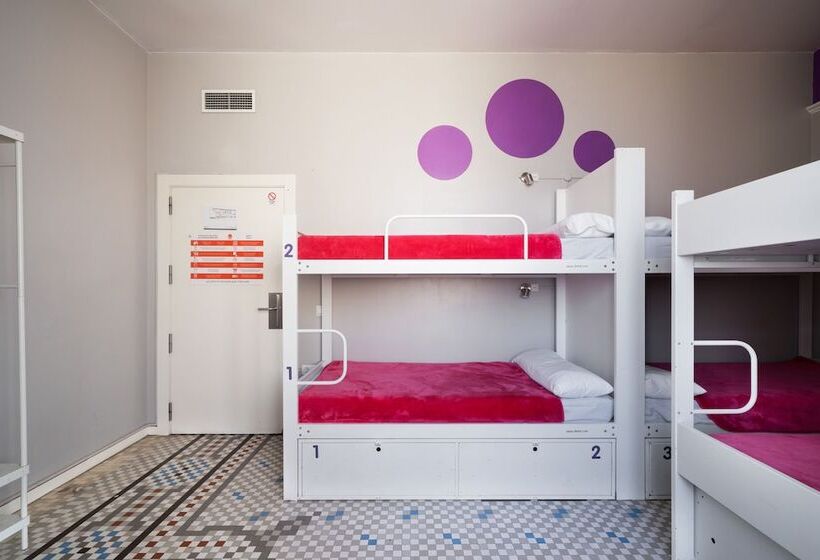 سرير فى غرفة مشتركه, Purple Nest Hostel