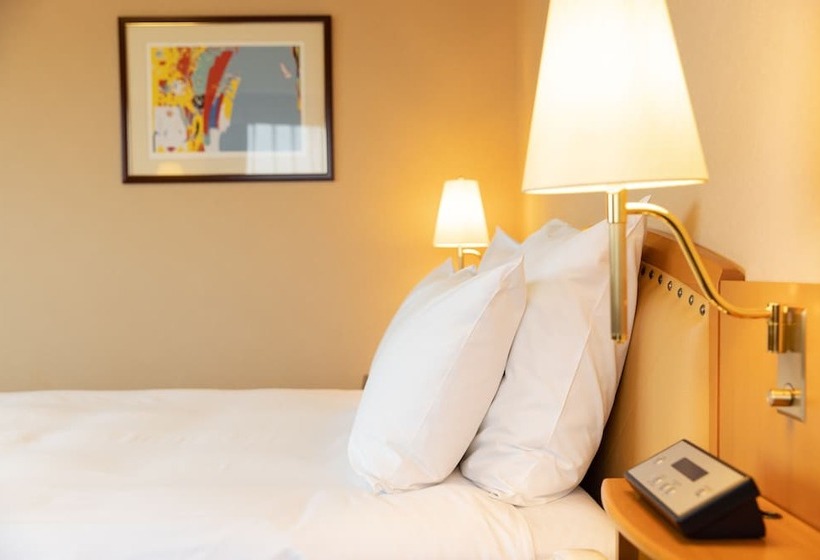 Номер Премиум, Ana Crowne Plaza Toyama, An Ihg