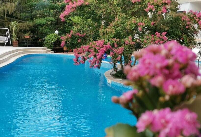 标准间带游泳池, Park Hotel Briz   All Inclusive & Free Parking