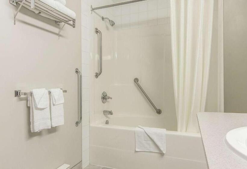 带大床的标准间, Econo Lodge Inn & Suites