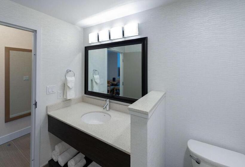 سوئیت اجرایی با تخت کینگ, Prestige Treasure Cove Resort, Worldhotels Elite