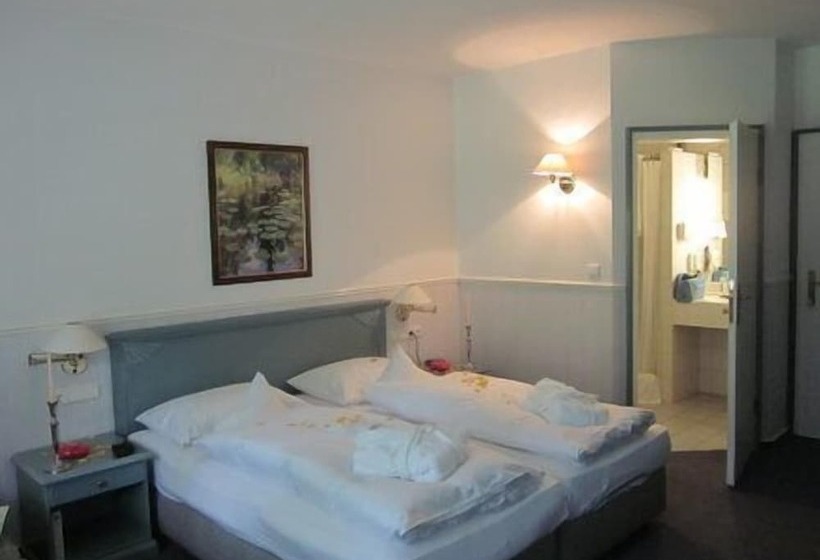スタンダードルーム, Emsland Hotel Saller See