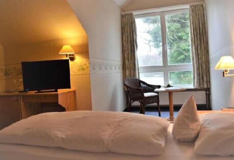 Номер Стандарт Индивидуальный, Emsland Hotel Saller See