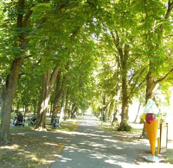 스탠다드 싱글 룸, Reichels Park