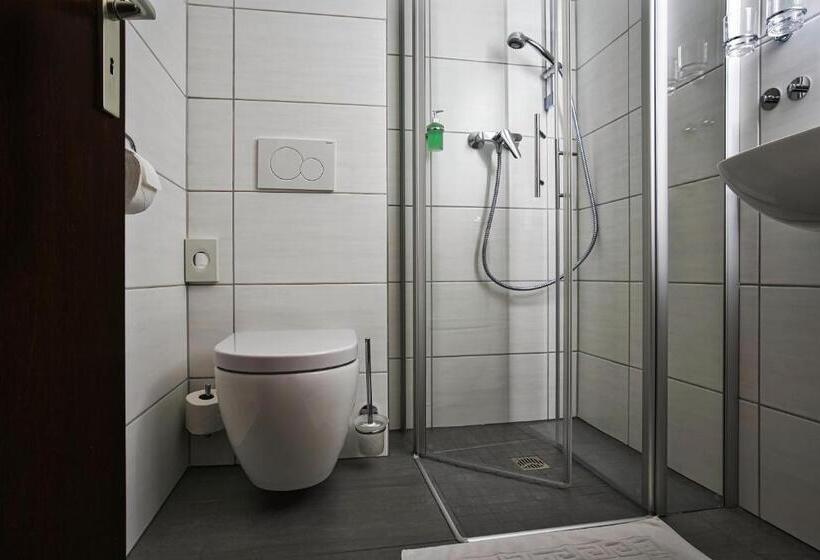 חדר סטנדרט יחיד, Reichels Park