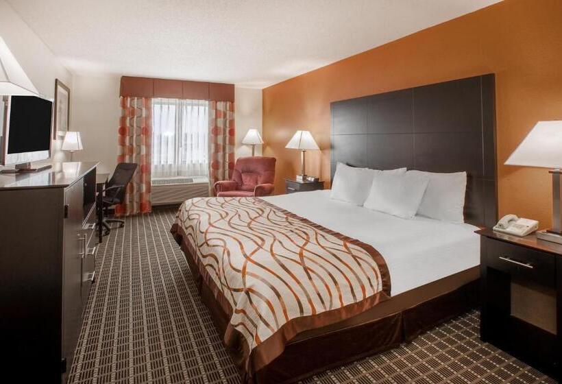 חדר סטנדרט עם מיטת קינג, Baymont By Wyndham South Haven