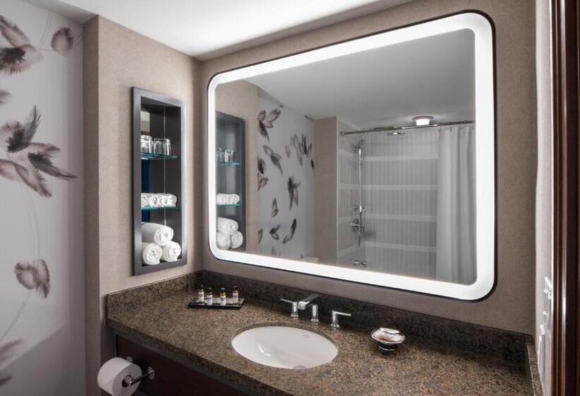Номер Стандарт 2 Двуспальные Кровати, Hyatt Regency Coralville