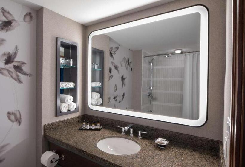 Номер Стандарт, Hyatt Regency Coralville