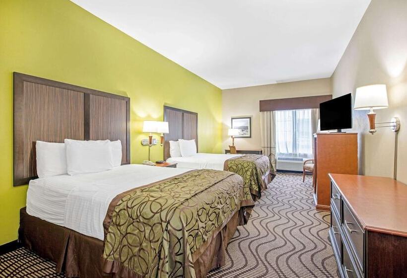 스탠다드 룸 더블 침대 2개, La Quinta By Wyndham Corpus Christi Airport