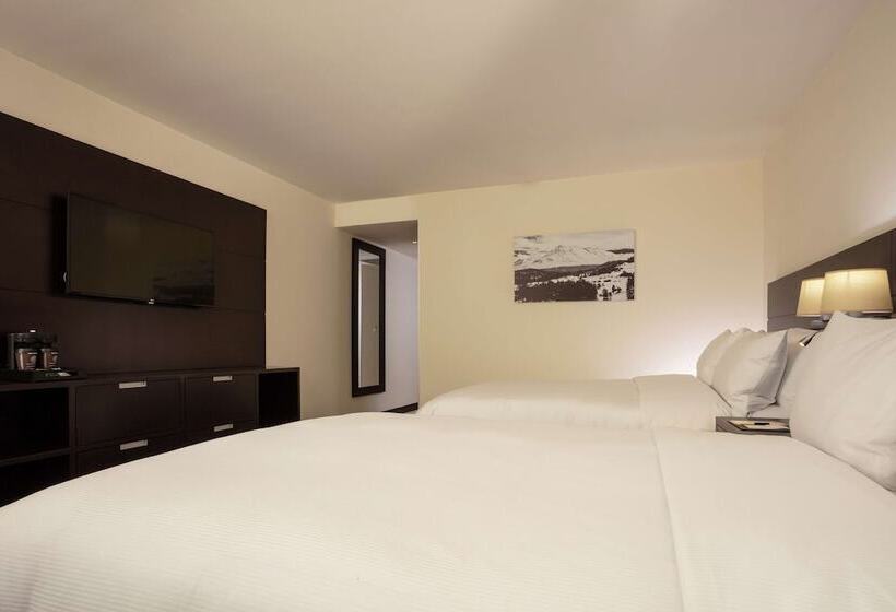 ２ダブルベッドのスタンダードルーム, Doubletree By Hilton Toluca