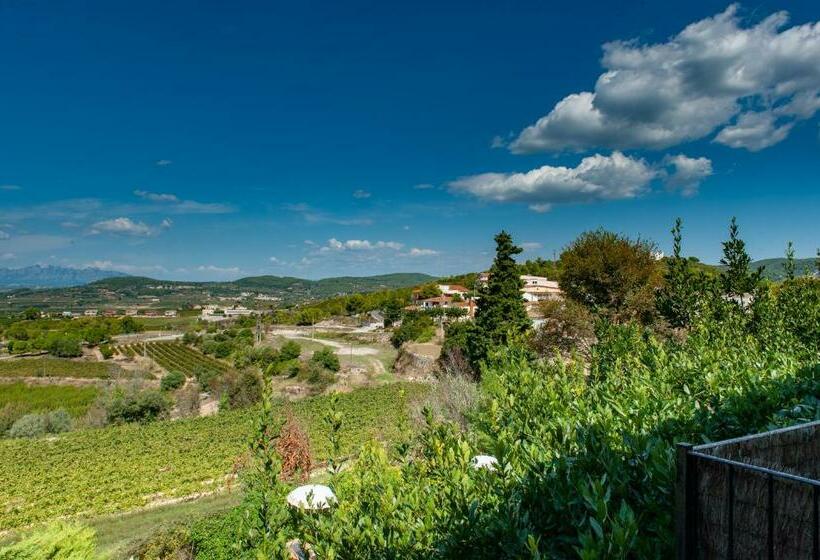 Апартаменты Deluxe 1 Спальня, Cal Mestre Casa Rural