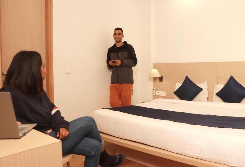 اتاق استاندارد, The Blue Jay Hostel