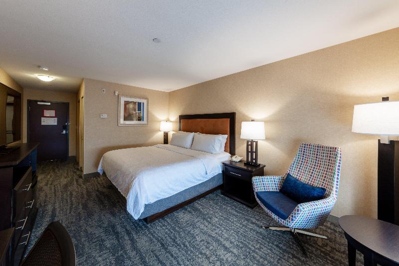 キングサイズベッドのスタンダードルーム, Holiday Inn Express & Suites Riverport Richmond, An Ihg