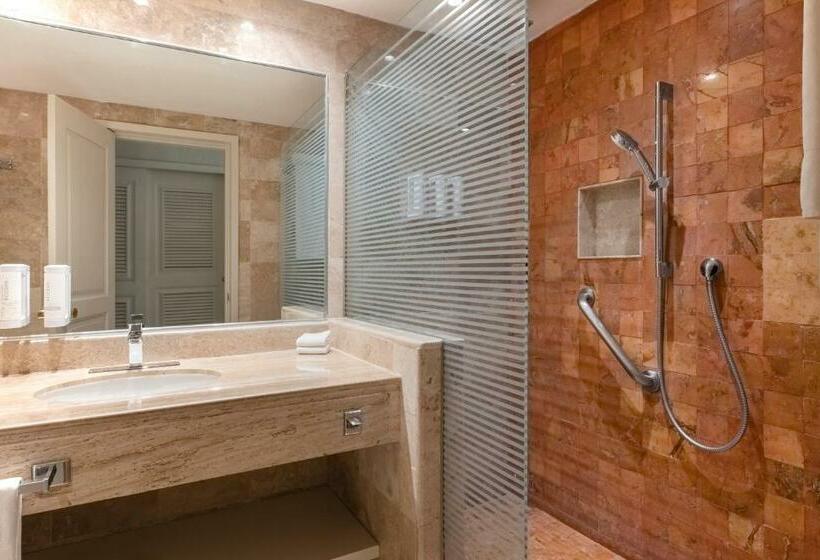 Junior Suite met Uitzicht op Zee, Iberostar Waves Tucán