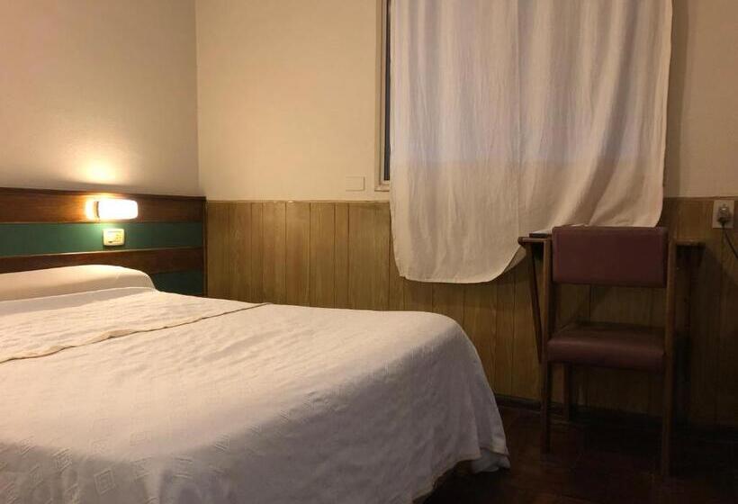 اتاق استاندارد یک نفره, Palace Hotel Mendoza