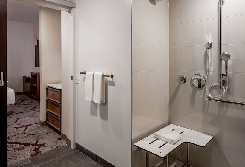 استودیوی استاندارد با تخت دوبل, Hyatt House Tampa Downtown