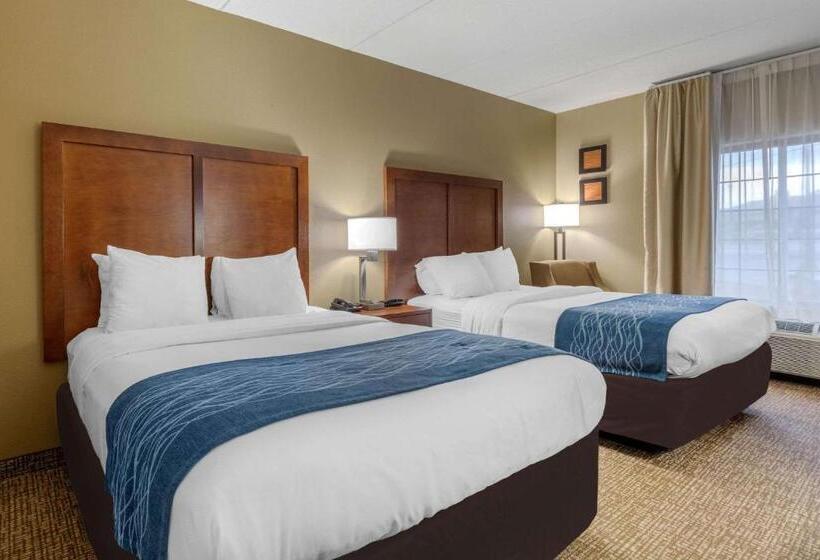 Camera Standard, Comfort Inn & Suites Hamilton Place