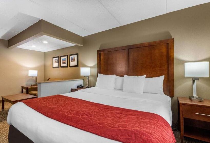Suite Letto King, Comfort Inn & Suites Hamilton Place