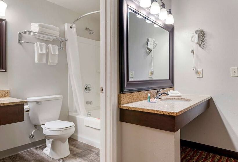 Номер Стандарт 2 Двуспальные Кровати, Econo Lodge Lakeview