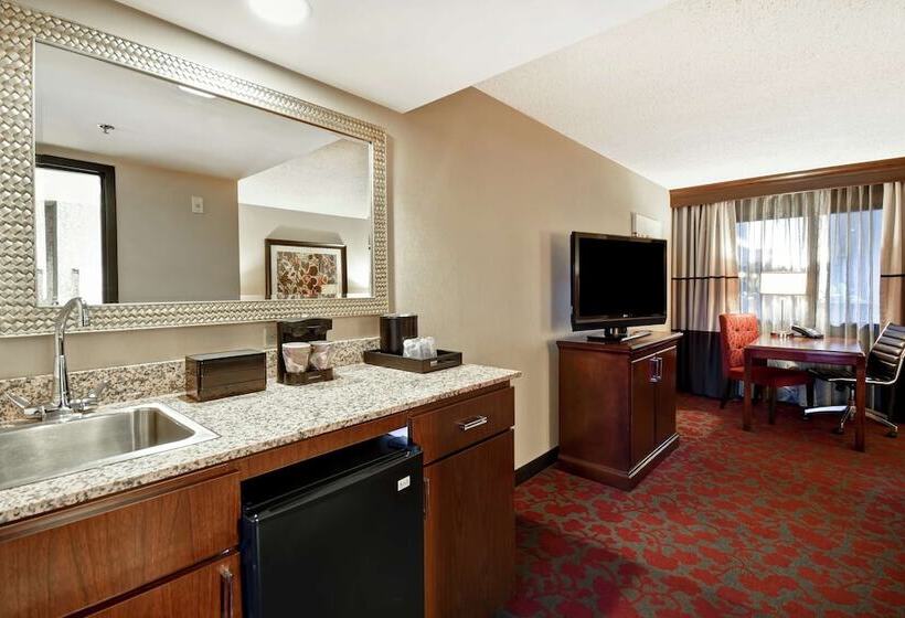 2 베드룸 프리미엄 스위트, Embassy Suites By Hilton Dulles Airport