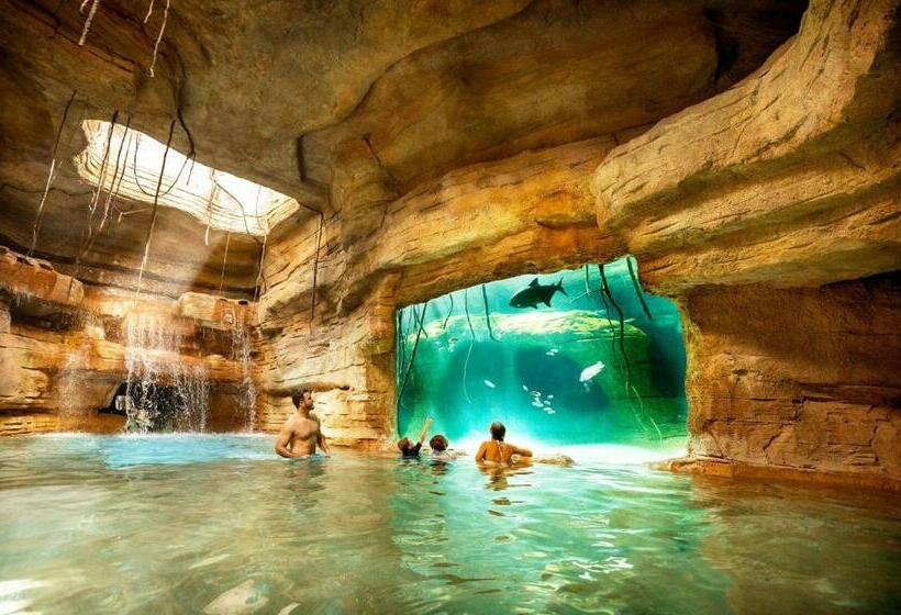 皇家套房, The Coral At Atlantis
