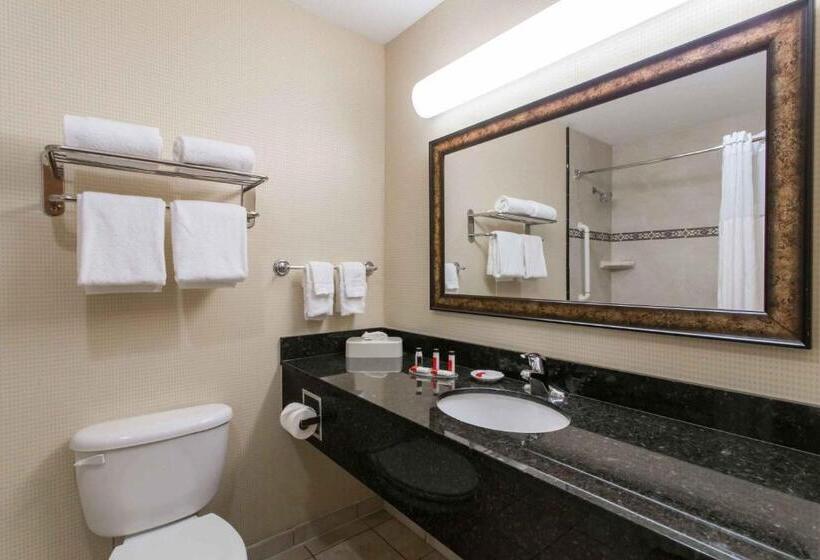 스탠다드 룸 킹사이즈 침대, Days Inn & Suites By Wyndham Fort Pierce I95