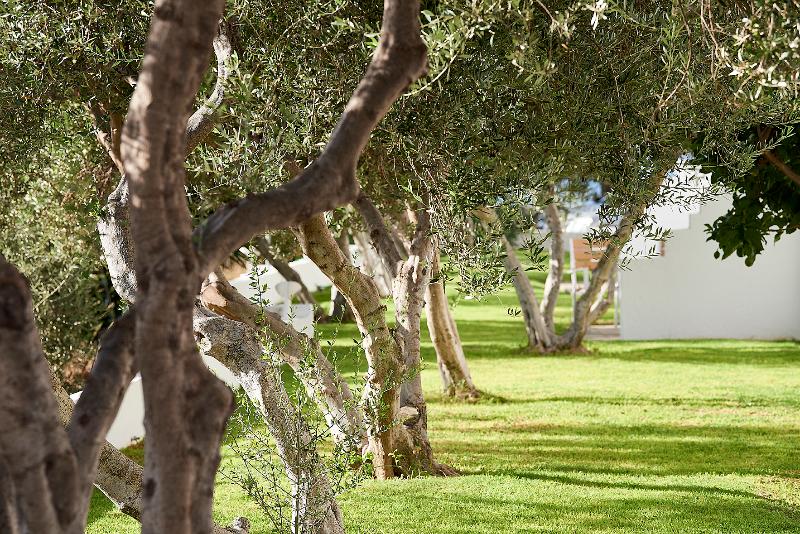 Номер Стандарт Вид на Сад, Santa Maria Village Resort & Spa