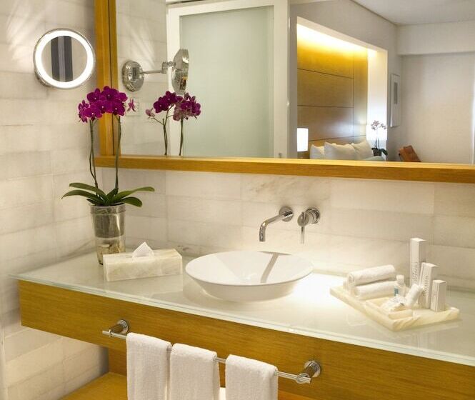 デラックスルーム, Palacio Mundo Imperial Riviera Diamante Acapulco