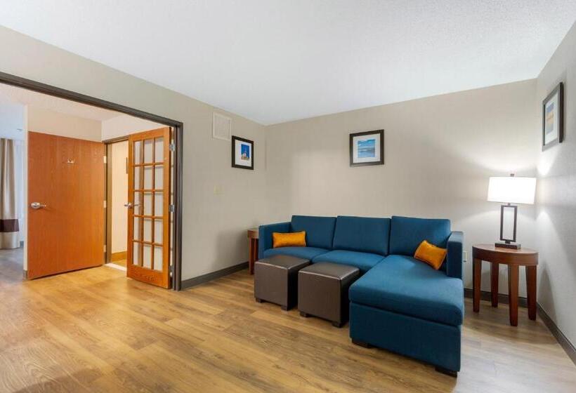 Люкс, Comfort Inn & Suites