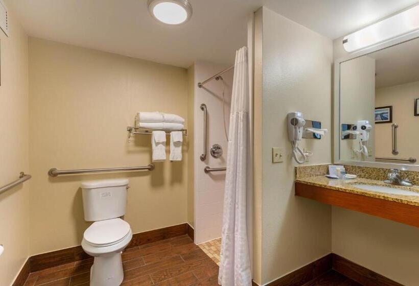 Люкс Адаптированный для Инвалидов, Comfort Inn & Suites