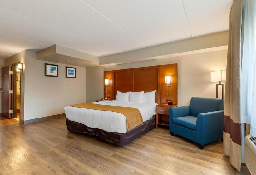 Номер Стандарт Кровать Кинг Адаптированный для Инвалидов, Comfort Inn & Suites