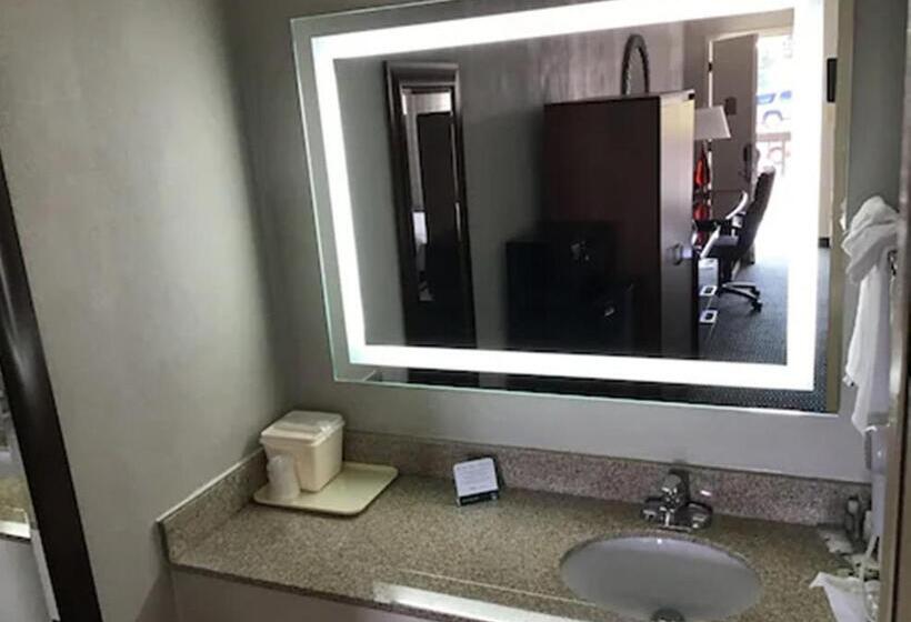 Номер Стандарт, Quality Inn Christiansburg  Blacksburg
