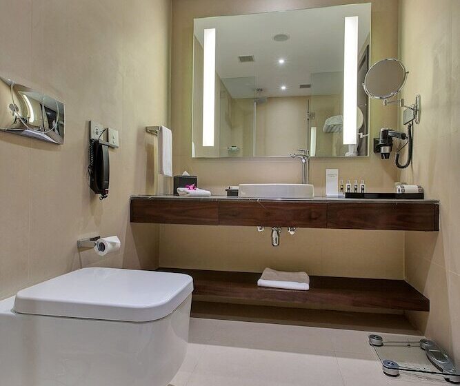 اتاق استاندارد با تخت بزرگ, Sahara Star