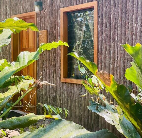 اتاق لوکس, Mariposa Jungle Lodge