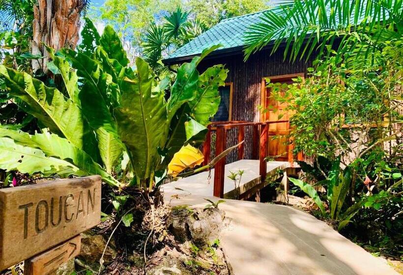 اتاق لوکس چهار تخته, Mariposa Jungle Lodge