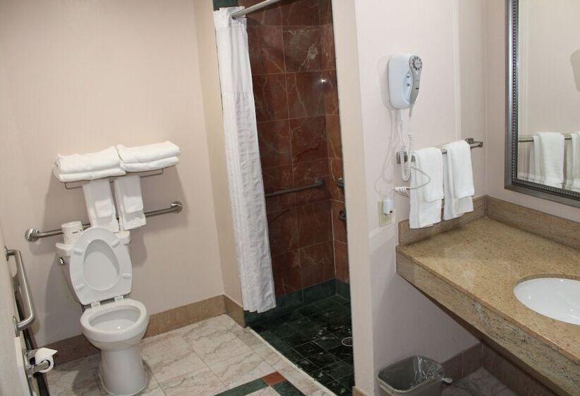 Люкс, Holiday Inn Express & Suites Leesburg   Historic District, An Ihg