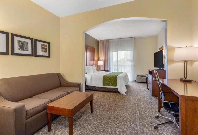 Люкс Кровать Кинг, Holiday Inn Express & Suites Leesburg   Historic District, An Ihg