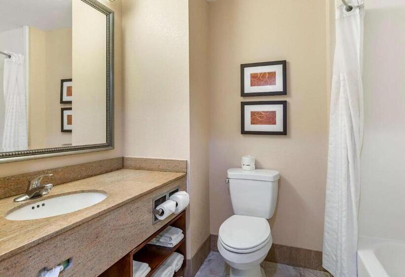 Люкс Executive Кровать Кинг, Holiday Inn Express & Suites Leesburg   Historic District, An Ihg