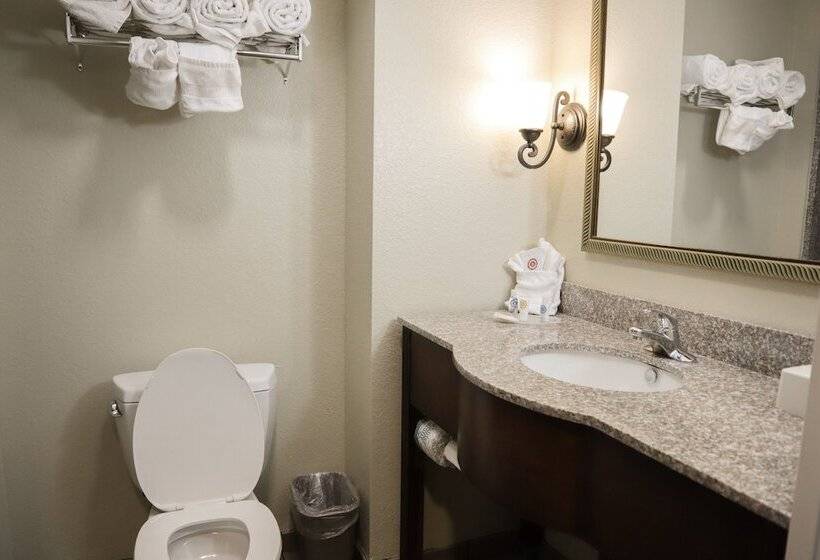 Люкс Адаптированный для Инвалидов, Comfort Suites Ocala North