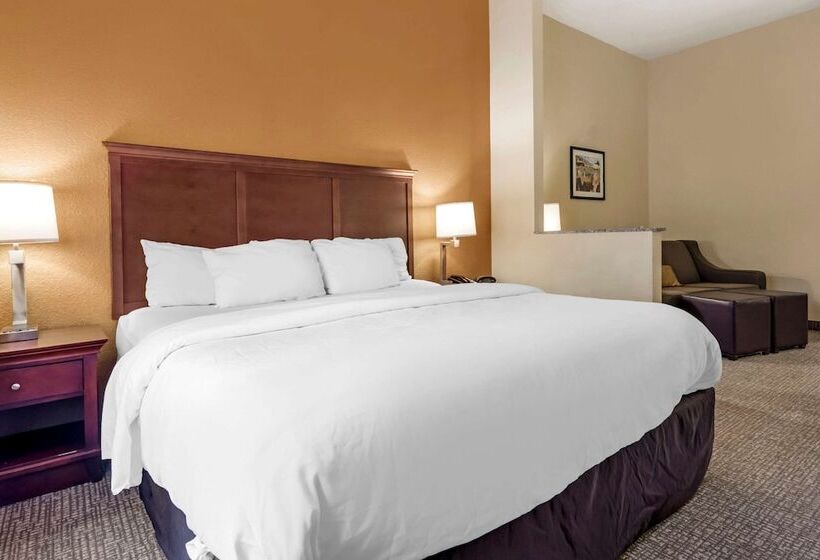 Люкс Адаптированный для Инвалидов, Comfort Suites Ocala North