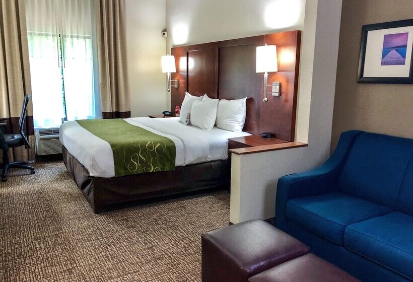 Люкс, Comfort Suites Regency Park