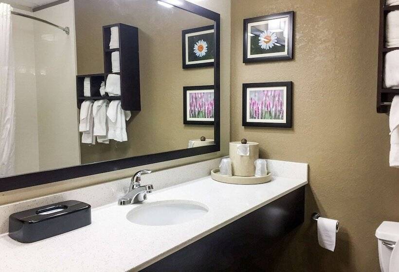 Люкс Кровать Кинг, Comfort Suites Regency Park