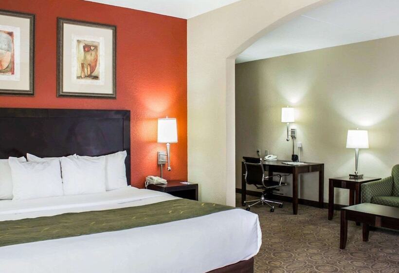 Люкс Кровать Кинг, Comfort Suites Regency Park