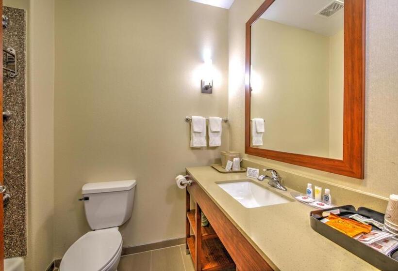 스위트 킹사이즈 침대, Comfort Suites Tomball Medical Center