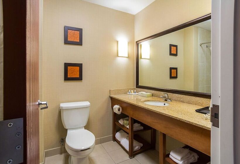 Люкс, Comfort Suites
