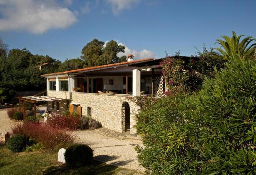 آپارتمان سوپریور 1 خوابه, Residence Les Oliviers