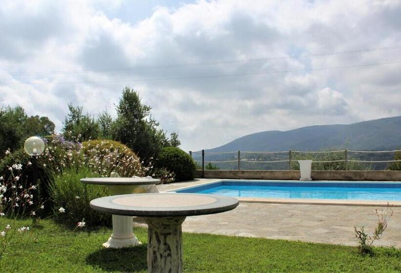 آپارتمان سوپریور 1 خوابه, Residence Les Oliviers
