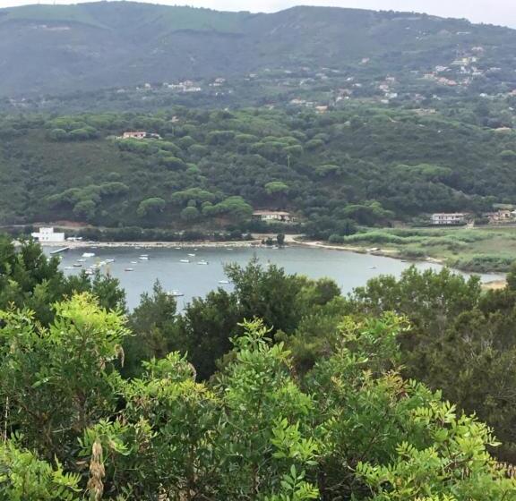 آپارتمان سوپریور 1 خوابه, Residence Les Oliviers