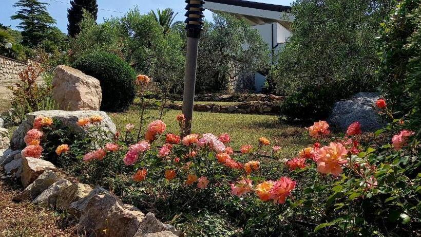 استودیو استاندارد با تراس, Residence Les Oliviers