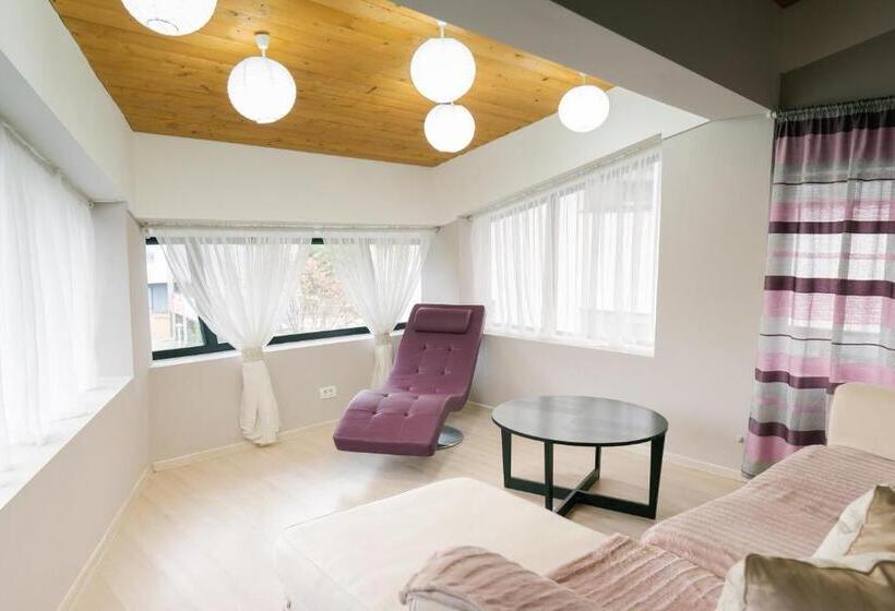 Студия Стандарт, Chic Studio